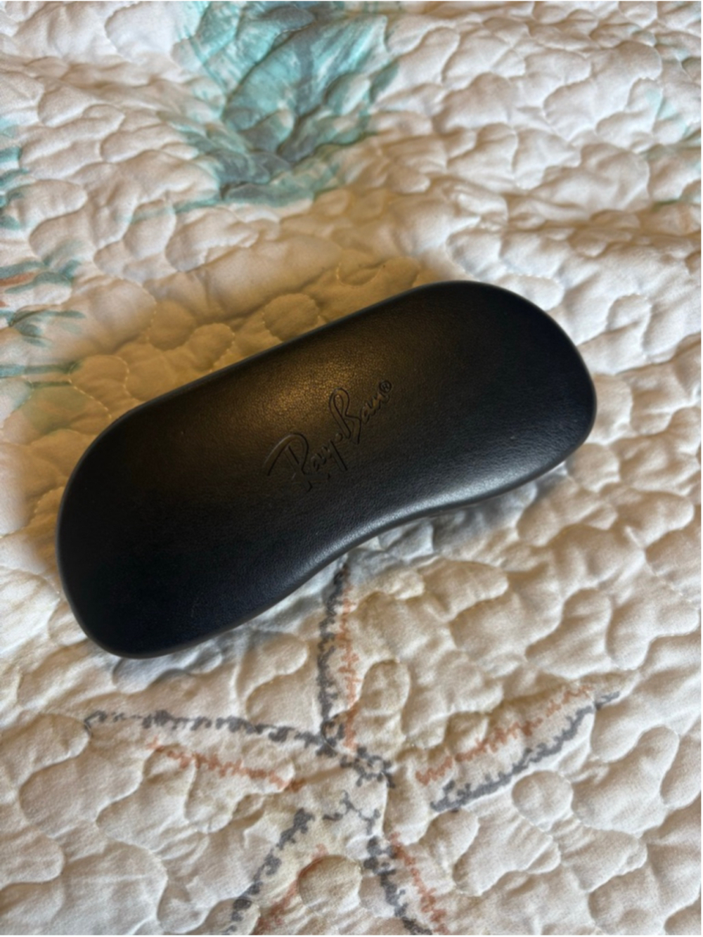 Ray-Ban Hard Shell Sunglasses Case Black Gray Interior w/ Cleaning Cloth